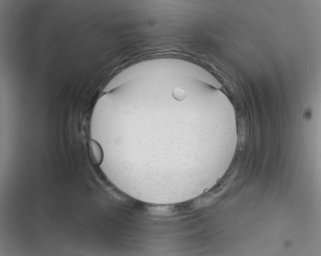 X0000116340281201001131051