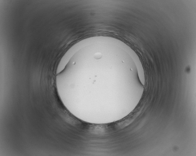 X0000116340282201001131052