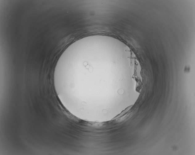 X0000116340288201001131052