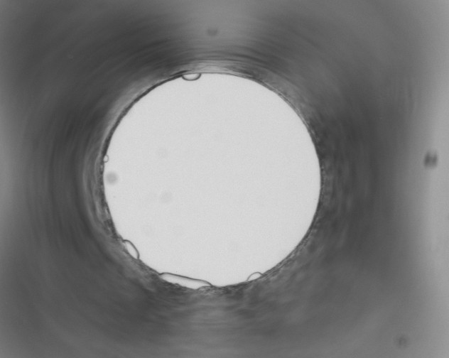 X0000116340289201001131051