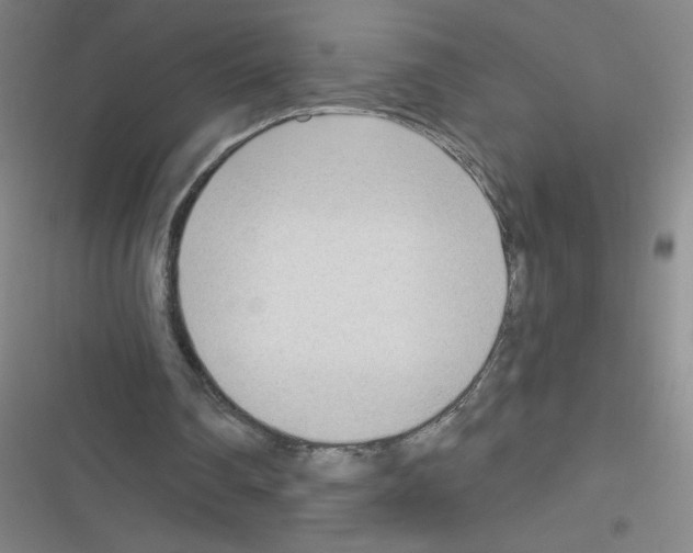 X0000116340290201001131051