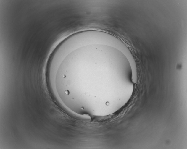 X0000116340292201001131051