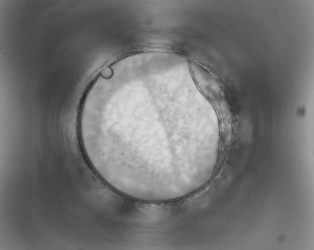 X0000116340293201001131051