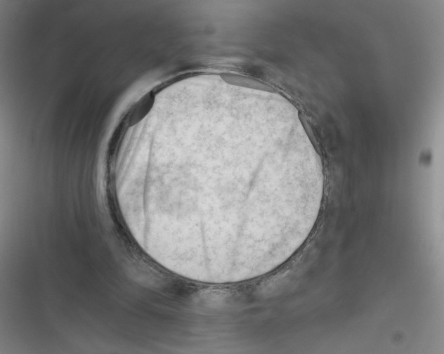 X0000116340294201001131051