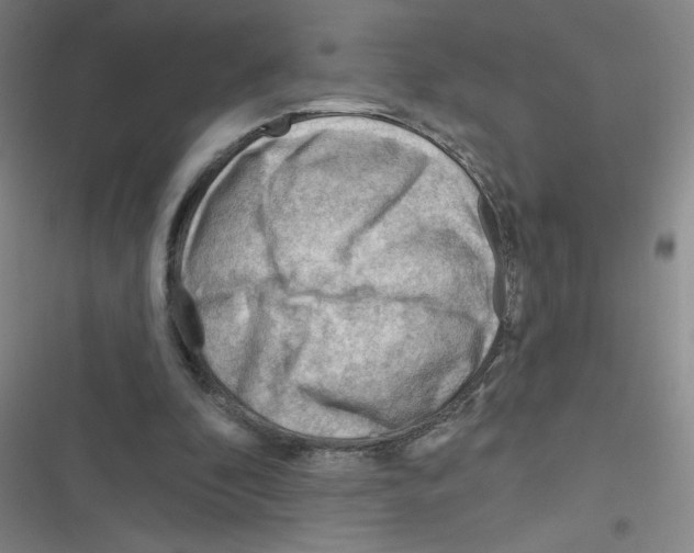 X0000116340296201001131051