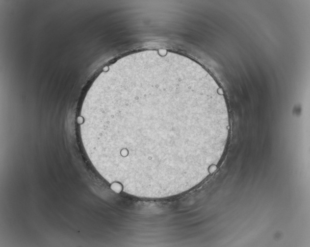 X0000116340297201001131051