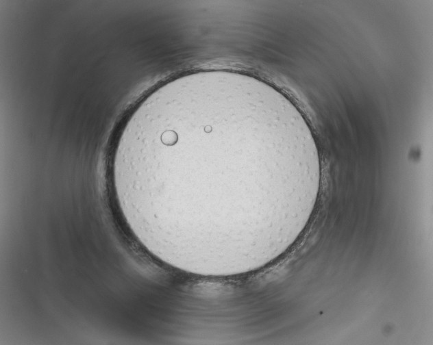 X0000116340298201001131051