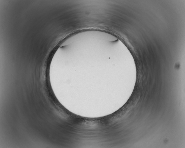 X0000116340299201001131051