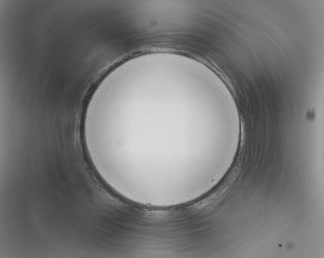 X0000116340301201001131051