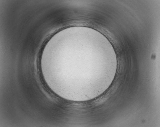 X0000116340302201001131051