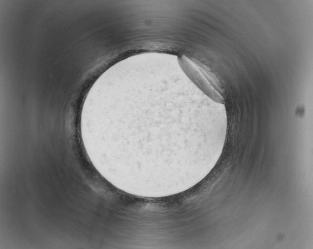 X0000116340303201001131051