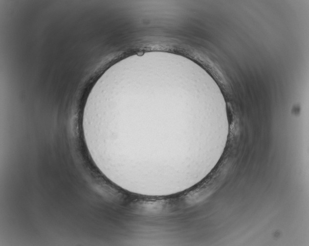 X0000116340306201001131051