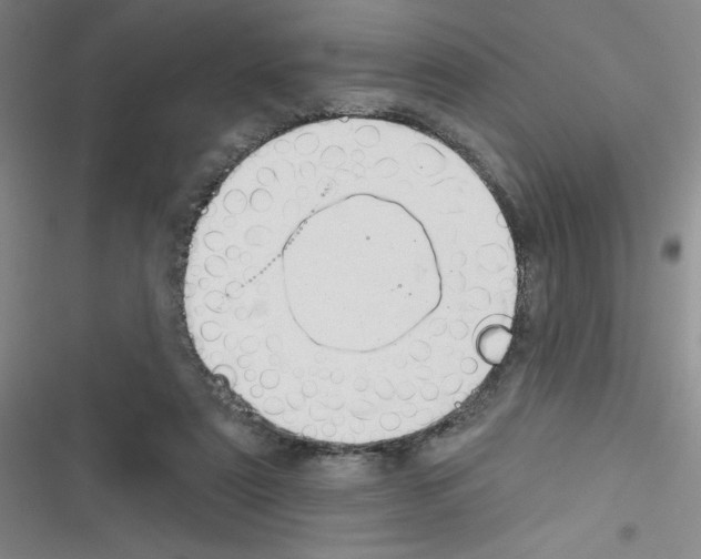 X0000116340307201001131051