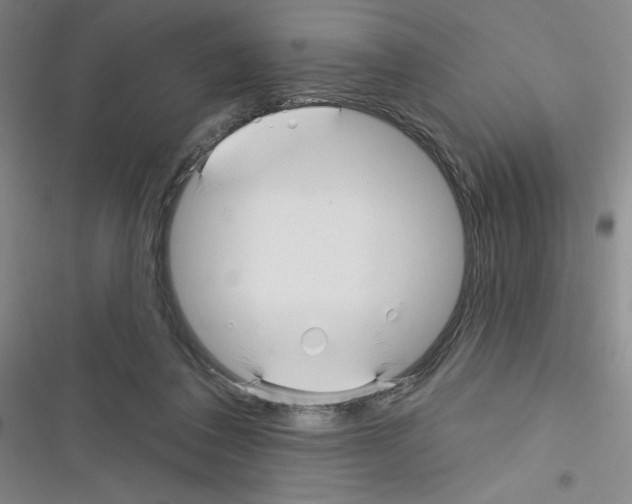 X0000116340308201001131051