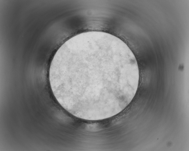 X0000116340309201001131051