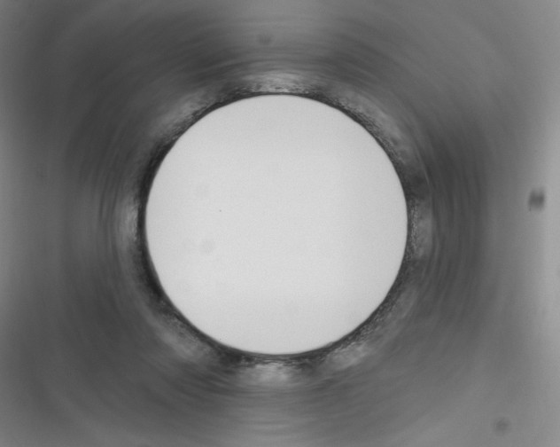 X0000116340310201001131051