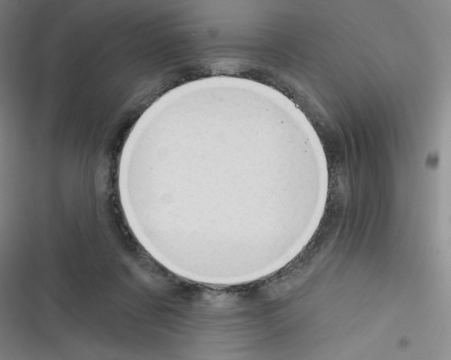 X0000116340311201001131051