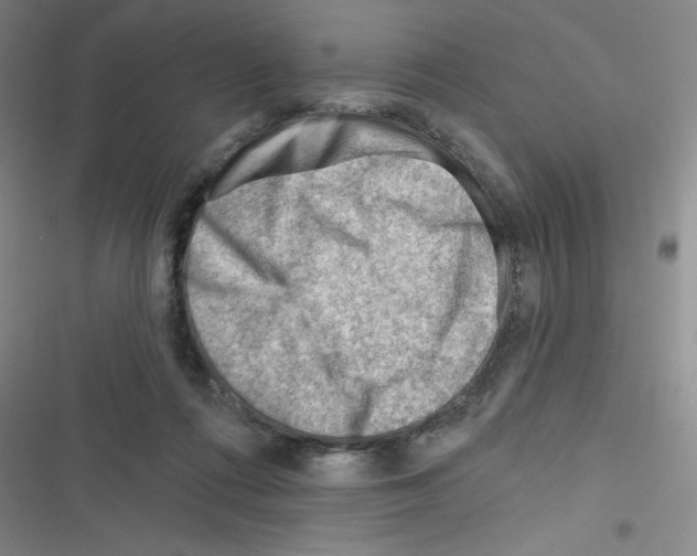 X0000116340312201001131051