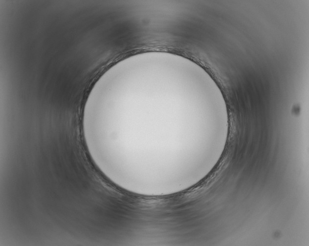 X0000116340313201001131051