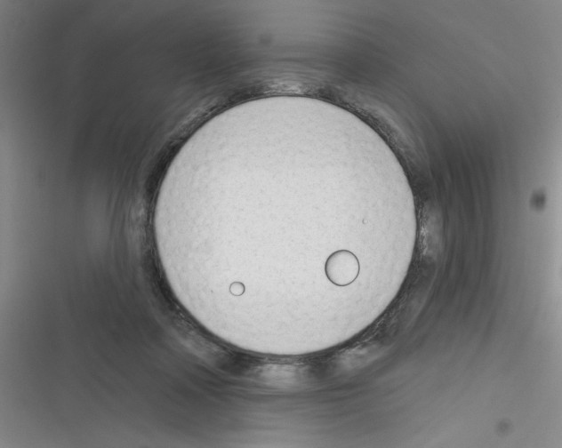 X0000116340314201001131051