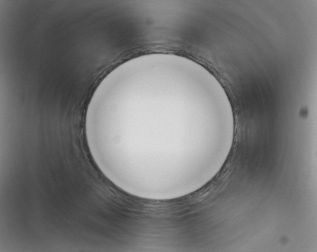 X0000116340317201001131051