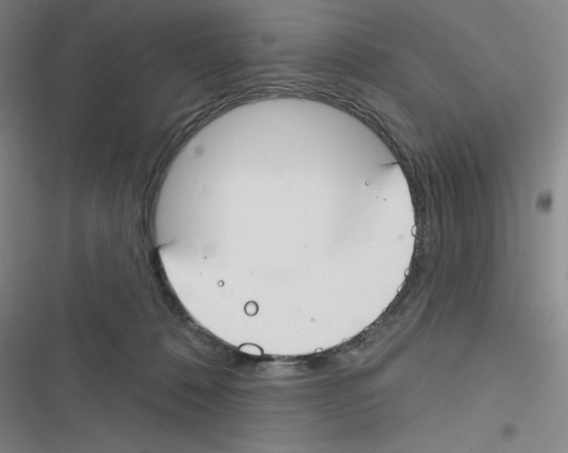 X0000116340320201001131051