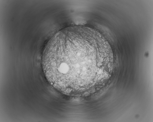 X0000116340321201001131050