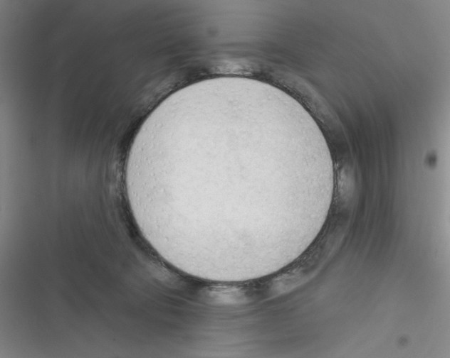 X0000116340322201001131050