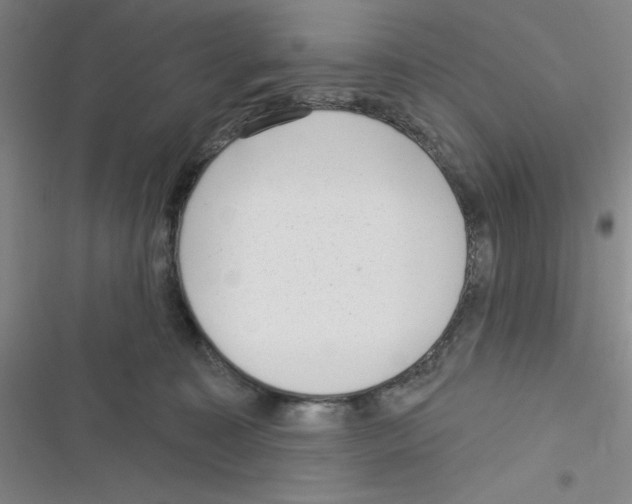 X0000116340323201001131050