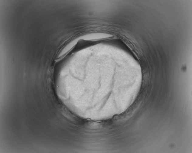 X0000116340325201001131050