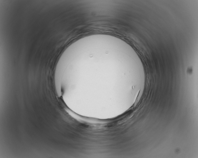 X0000116340327201001131050