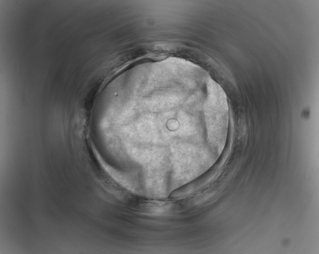 X0000116340328201001131050