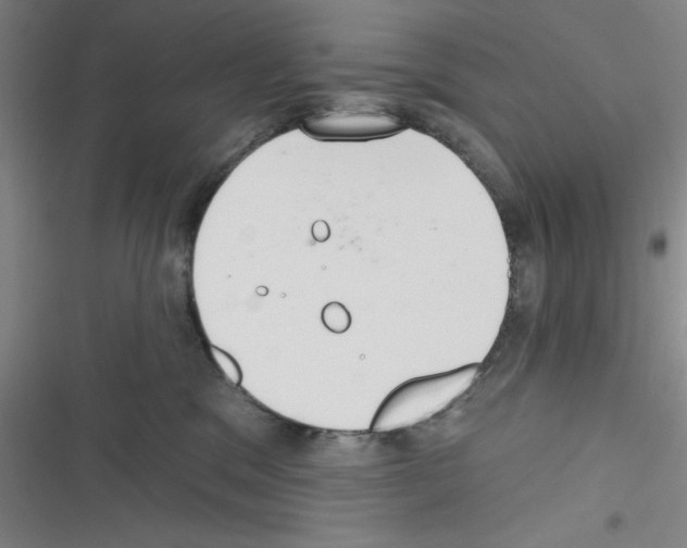 X0000116340329201001131050