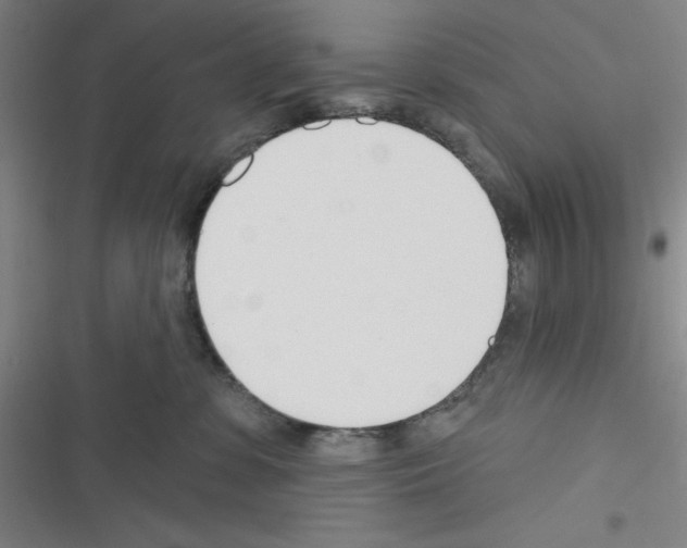 X0000116340331201001131050