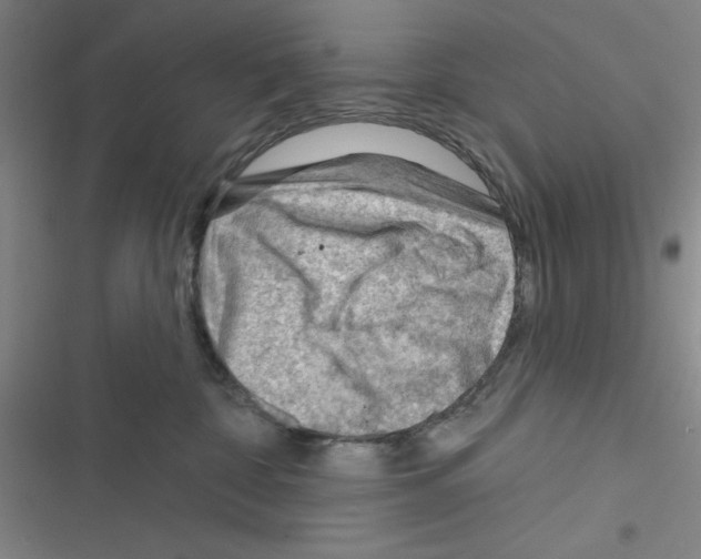 X0000116340332201001131050