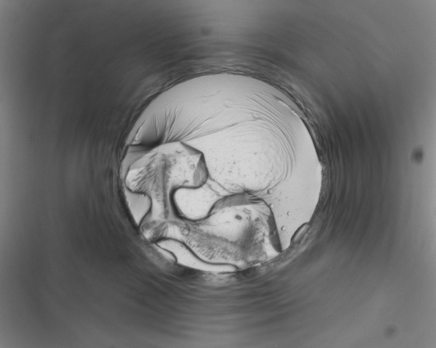 X0000116340333201001131050