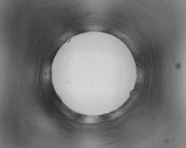 X0000116340334201001131050