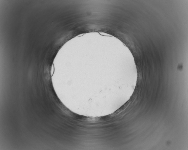 X0000116340335201001131050