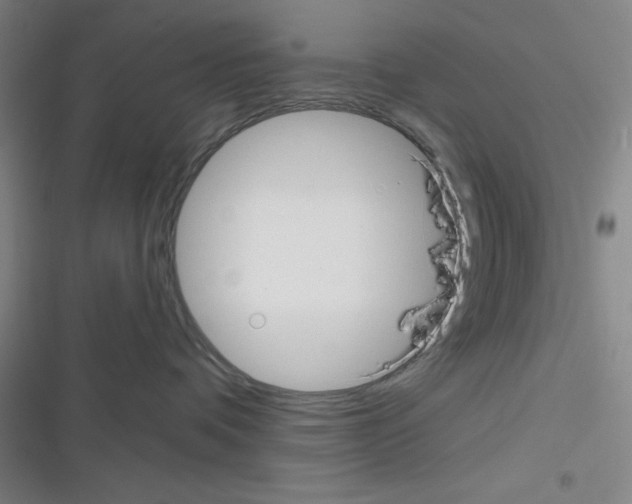 X0000116340336201001131050