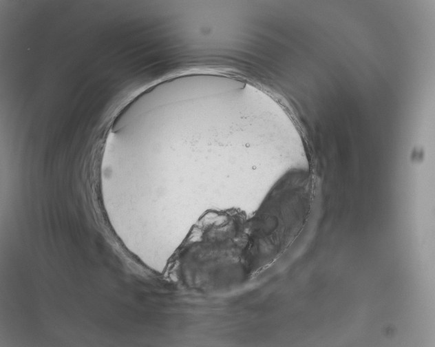 X0000116340337201001131050