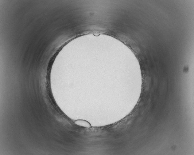 X0000116340338201001131050