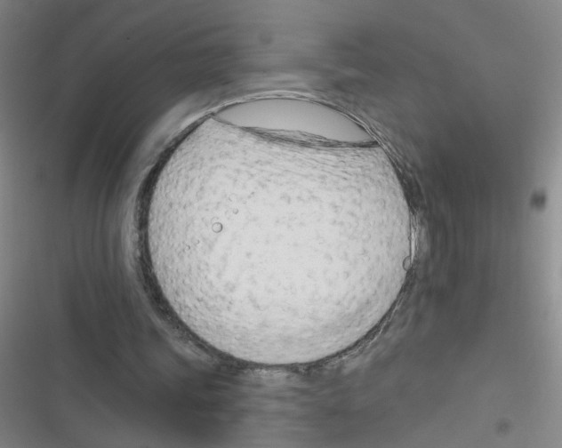 X0000116340339201001131050