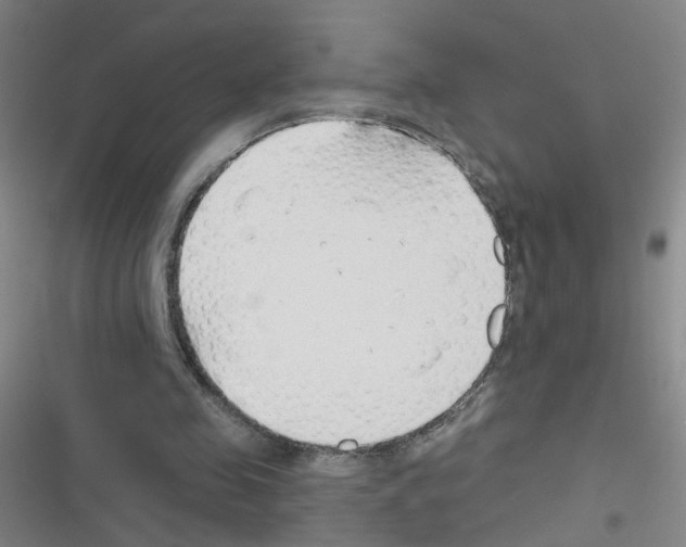 X0000116340341201001131050