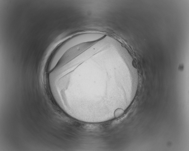 X0000116340343201001131050