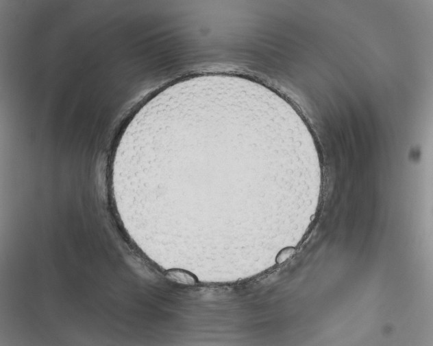 X0000116340345201001131050