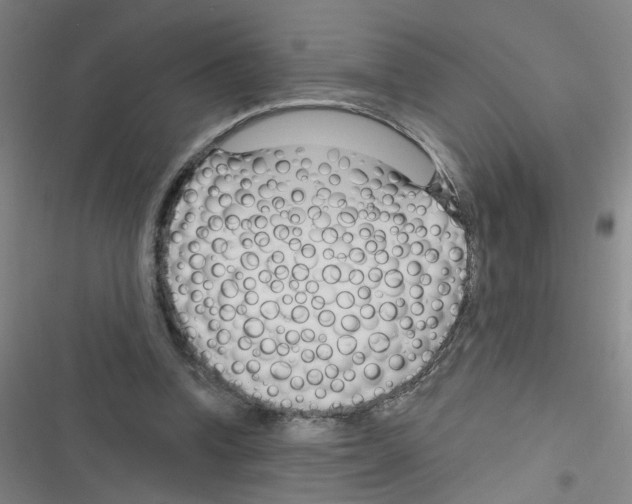 X0000116340346201001131050