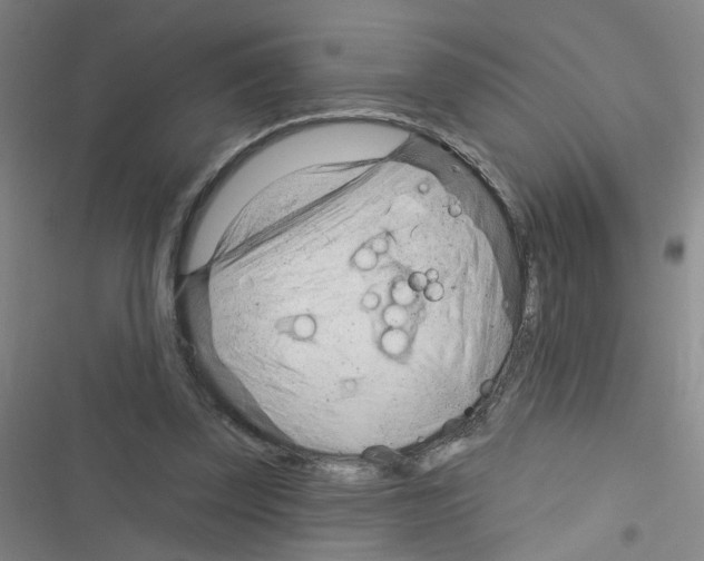 X0000116340347201001131050