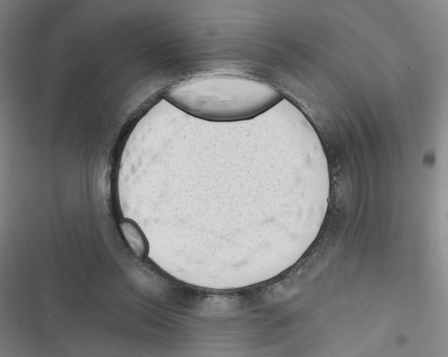 X0000116340350201001131050