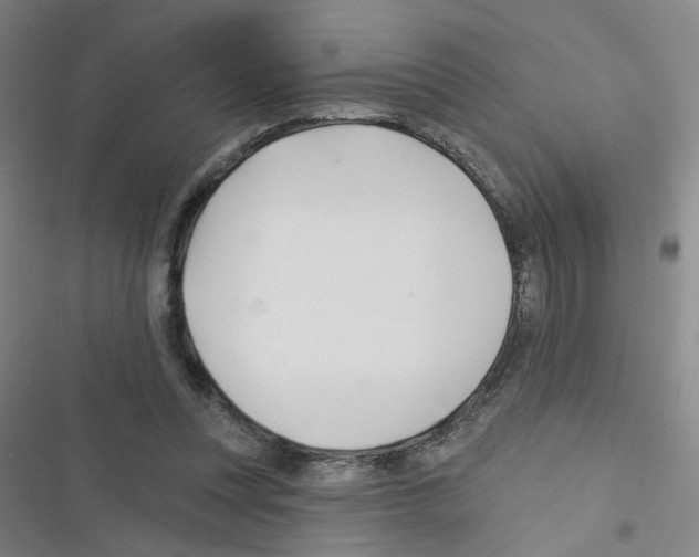 X0000116340351201001131050