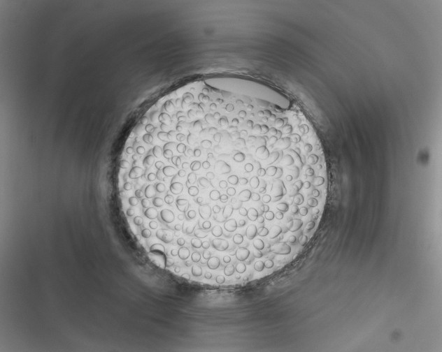 X0000116340354201001131050